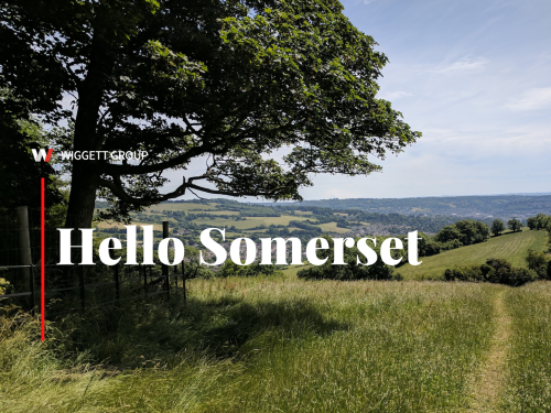 Hello Somerset!